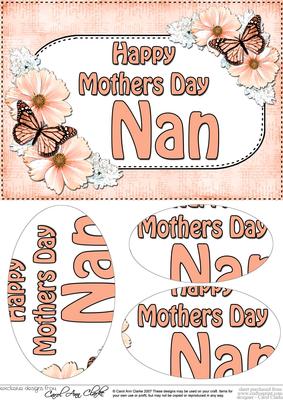 A5 Mothers Day Nan Butterflies & Flowers Oval Pyramage