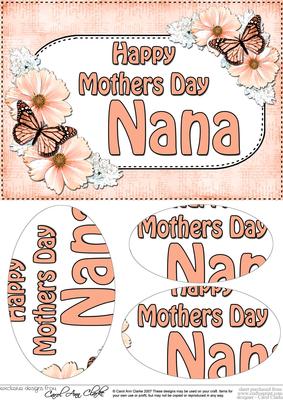 A5 Mothers Day Nana Butterflies & Flowers Oval Pyramage