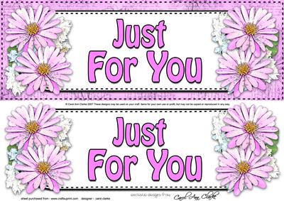 Large Dl Just for You Daisies Floral 3D Decoupage