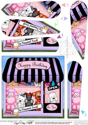 The Little Pampered Pouch Shop Fan Pyramage Topper