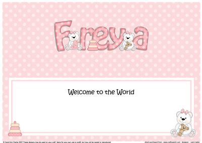 Large Dl Welcome to the World Freya Teddies Insert