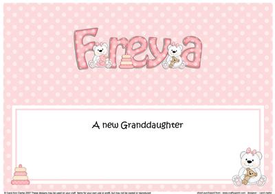 Large Dl New Granddaughter Freya Teddies Insert