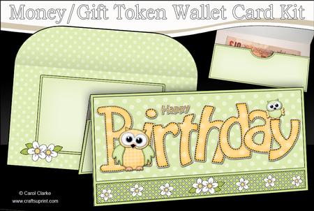 Birthday Little Hoot Owl Money or Gift Wallet Card Kit
