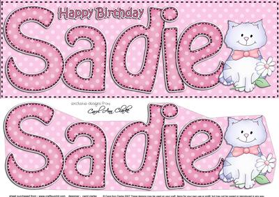 Large Dl Birthday Sadie Cat Card & 3D Decoupage