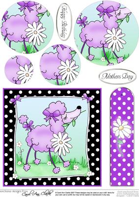 Cute Poodle Quick Card with Circle Pyramage