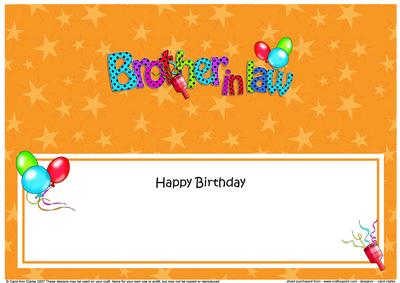 Large Dl Birthday Brother in Law Celebrations Insert