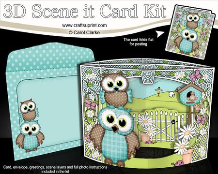 3D Little Hoot Owls Scene It Card Kit