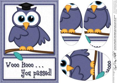 A5 Wise Owl You Passed Felties Oval Pyramage Topper