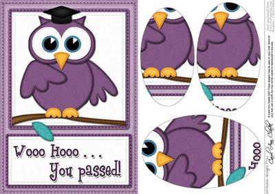 A5 Wise Owl You Passed Felties Oval Pyramage Topper