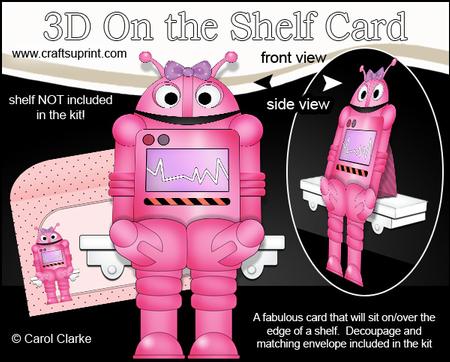 3D on the Shelf Card Kit - Little Robot Data