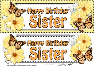 Large Dl Birthday Sister Floral Butterflies 3D Decoupage