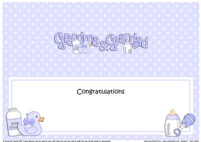 Large Dl Congratulations New Grandma & Grandad Insert