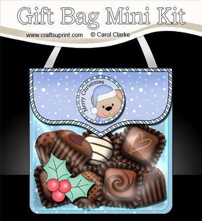 3D Xmas Austin Bear Gift Bag Mini Kit