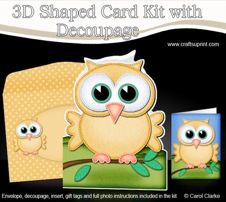 3D Little Hoot the Owl Shaped Card Decoupage & Envelope