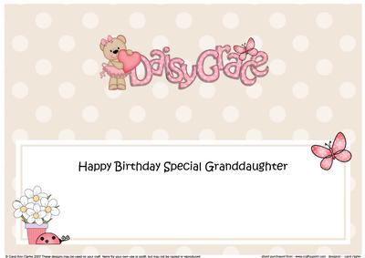 1st Birthday Daisy Grace Livvy Bear Large Dl Matching Insert