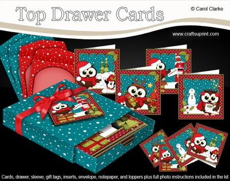 3D Christmas Little Hoot Owls Top Drawer Cards Bumper Kit