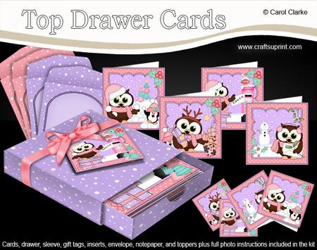 3D Christmas Little Hoot Owls Top Drawer Cards Bumper Kit