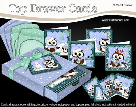 3D Christmas Little Hoot Owls Top Drawer Cards Bumper Kit