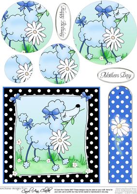 Cute Poodle Quick Card with Circle Pyramage