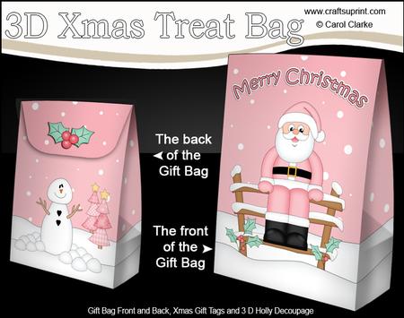3D Christmas Santa Gift Bag Mini Kit