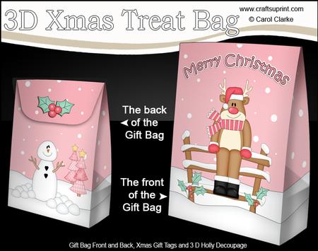 3D Christmas Rudolph Gift Bag Mini Kit