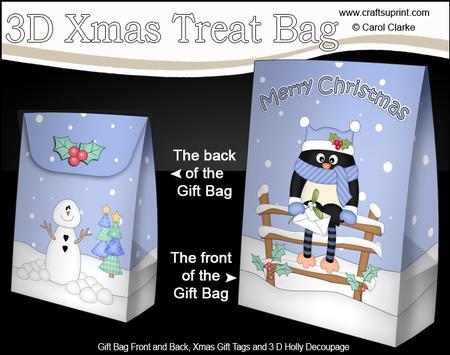 3D Little Christmas Pip Penguin Gift Bag Mini Kit