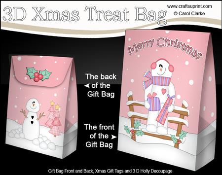 3D Little Christmas Snowman Rio Gift Bag Mini Kit