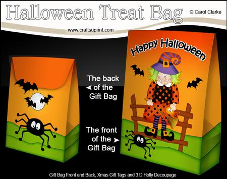 3D Little Halloween Winnie Witch Gift Bag Mini Kit