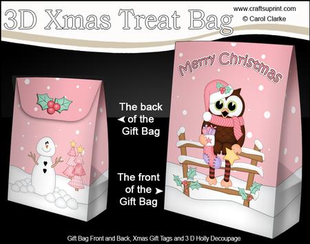 3D Little Christmas Little Hoot Owl Gift Bag Mini Kit