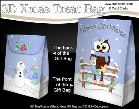 3D Little Christmas Little Hoot Owl Gift Bag Mini Kit