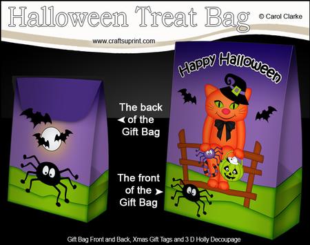 3D Little Halloween Cat Cinnamon Gift Bag Mini Kit