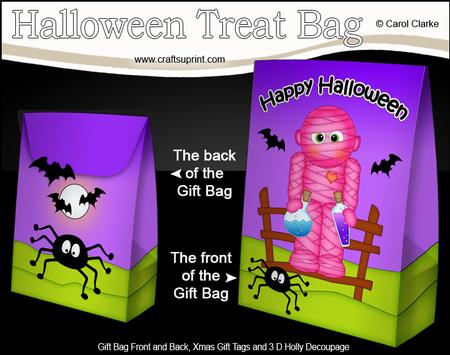 3D Little Halloween Mummy Zelda Gift Bag Mini Kit