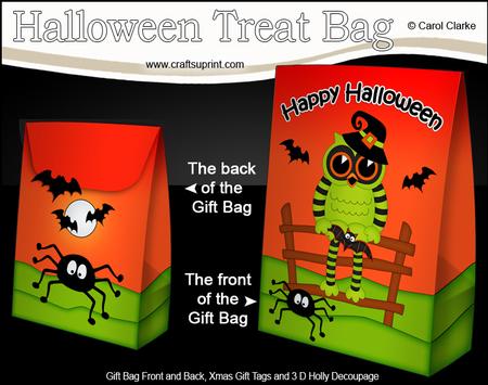 3D Little Halloween Hoot Owl Gift Bag Mini Kit