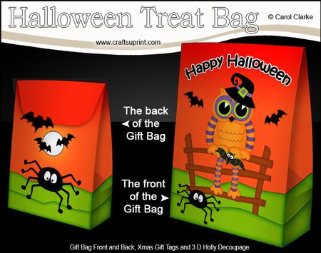 3D Little Halloween Hoot Owl Gift Bag Mini Kit