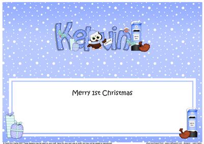 Large Dl 1st Christmas Kelvin Owls Insert