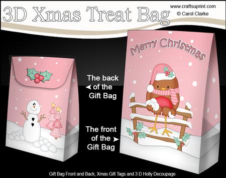 3D Little Christmas Bobin Robin Gift Bag Mini Kit