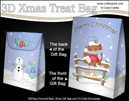 3D Little Christmas Bobin Robin Gift Bag Mini Kit
