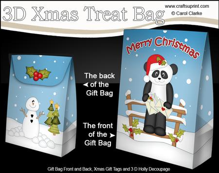 3D Little Christmas Panda Gift Bag Mini Kit
