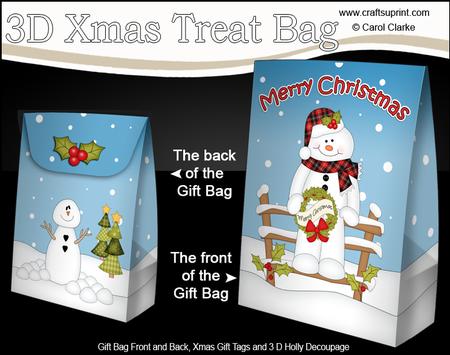 3D Little Christmas Snowman Roi Gift Bag Mini Kit
