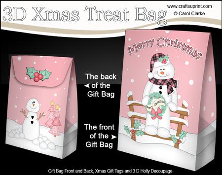 3D Little Christmas Snowman Roi Gift Bag Mini Kit
