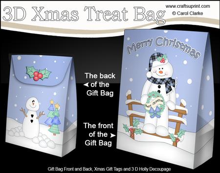 3D Little Christmas Snowman Roi Gift Bag Mini Kit