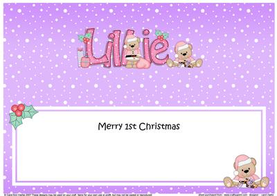 Large Dl 1st Christmas Lillie Livvy Bear Insert
