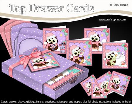3D Christmas Little Hoot Owls Top Drawer Cards Bumper Kit