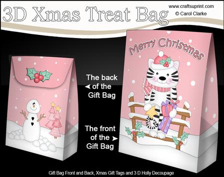 3D Little Christmas Cat Gift Bag Mini Kit