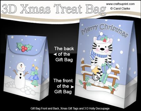 3D Little Christmas Cat Gift Bag Mini Kit