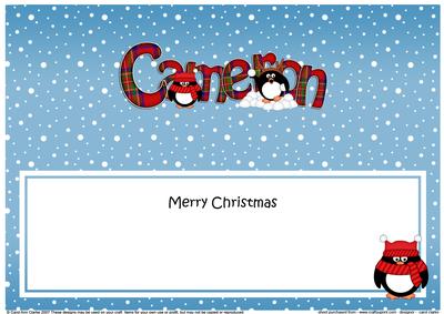Large Dl Christmas Cameron Tartan Penguins Insert