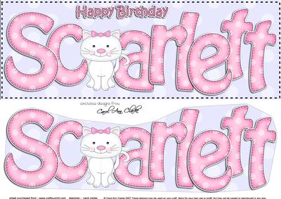 Large Dl Birthday Scarlett Cat Card & 3D Decoupage