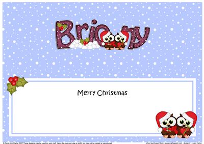 Large Dl Christmas Briony Owls Insert