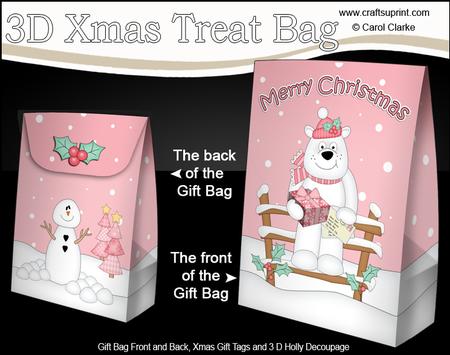 3D Little Christmas Ben Polar Bear Gift Bag Mini Kit