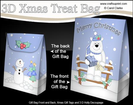 3D Little Christmas Ben Polar Bear Gift Bag Mini Kit